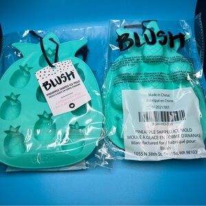 Blush Pineapple Ice Cube Tray / Mold - Qty 2 - NWT